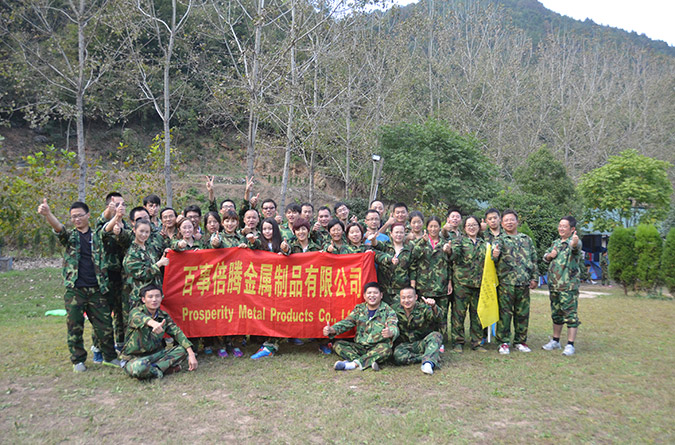 Our Team